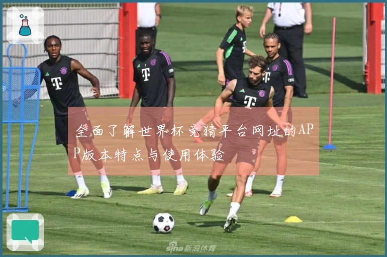全面了解世界杯竞猜平台网址的APP版本特点与使用体验