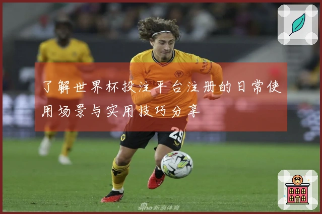 了解世界杯投注平台注册的日常使用场景与实用技巧分享