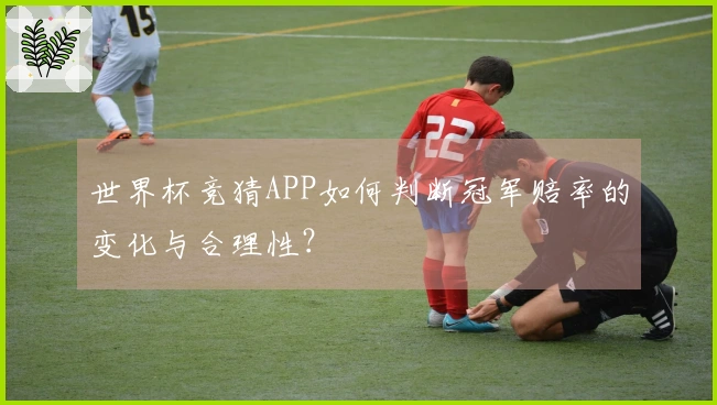世界杯竞猜APP如何判断冠军赔率的变化与合理性？