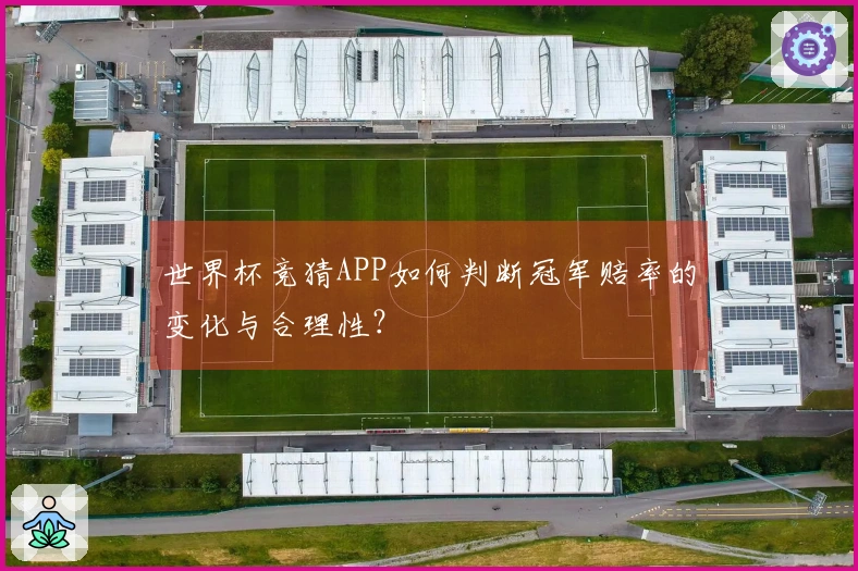 世界杯竞猜APP如何判断冠军赔率的变化与合理性？