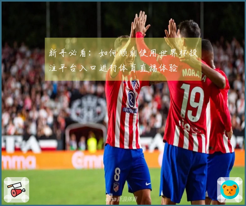 新手必看：如何顺利使用世界杯投注平台入口进行体育直播体验