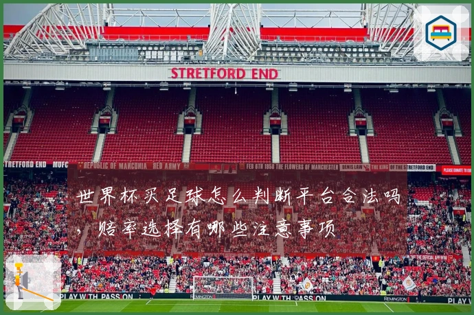 世界杯买足球怎么判断平台合法吗，赔率选择有哪些注意事项