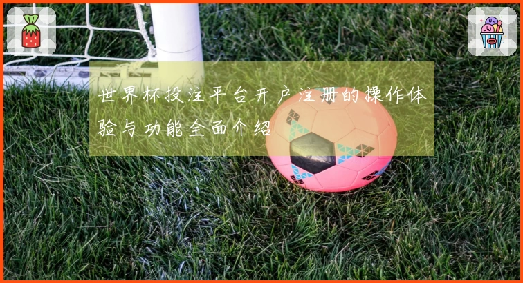 世界杯投注平台开户注册的操作体验与功能全面介绍