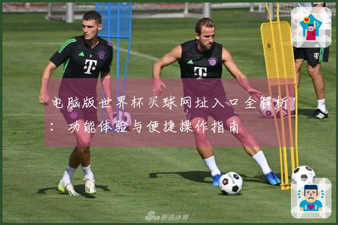 电脑版世界杯买球网址入口全解析：功能体验与便捷操作指南
