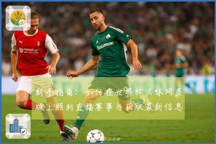 新手指南：如何在世界杯买球网页版上顺利直播赛事与获取最新信息