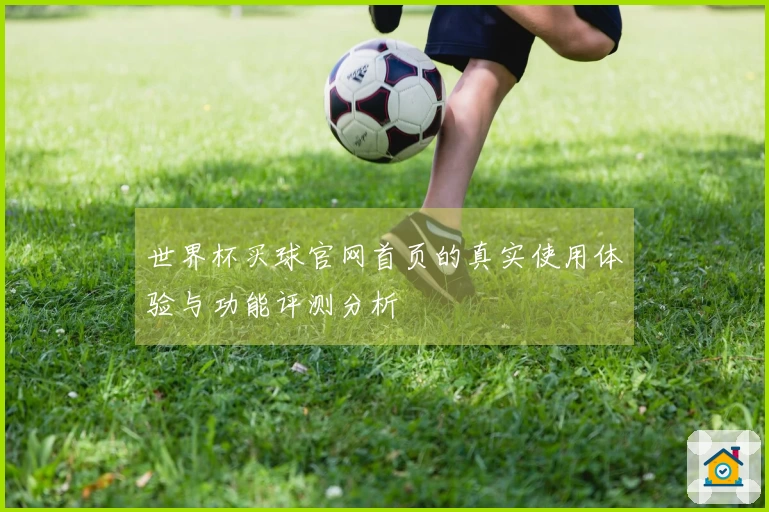 世界杯买球官网首页的真实使用体验与功能评测分析