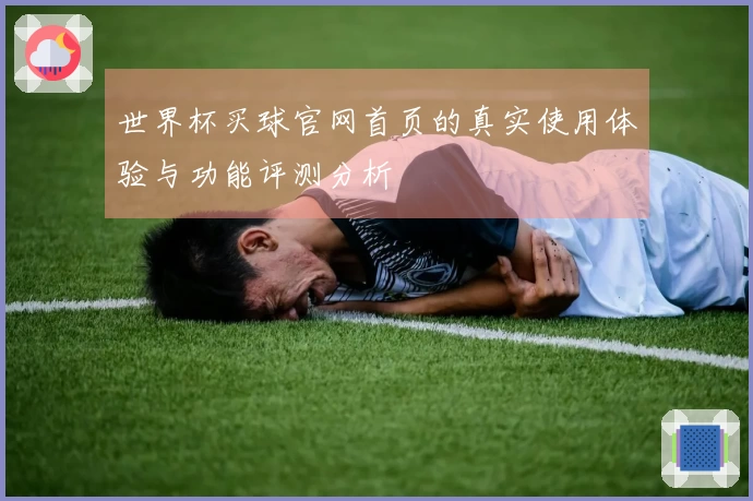 世界杯买球官网首页的真实使用体验与功能评测分析