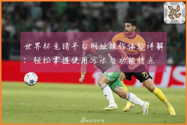 世界杯竞猜平台网址操作体验详解：轻松掌握使用方法与功能特点