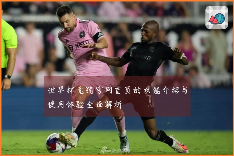 世界杯竞猜官网首页的功能介绍与使用体验全面解析