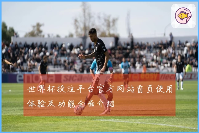 世界杯投注平台官方网站首页使用体验及功能全面介绍