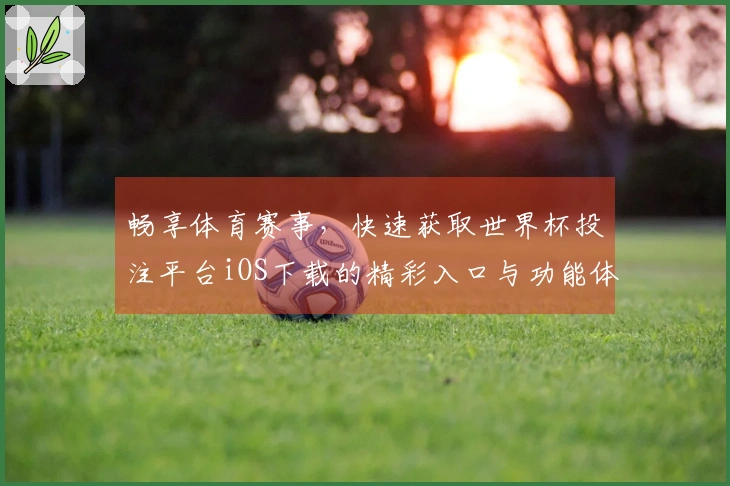 畅享体育赛事，快速获取世界杯投注平台iOS下载的精彩入口与功能体验