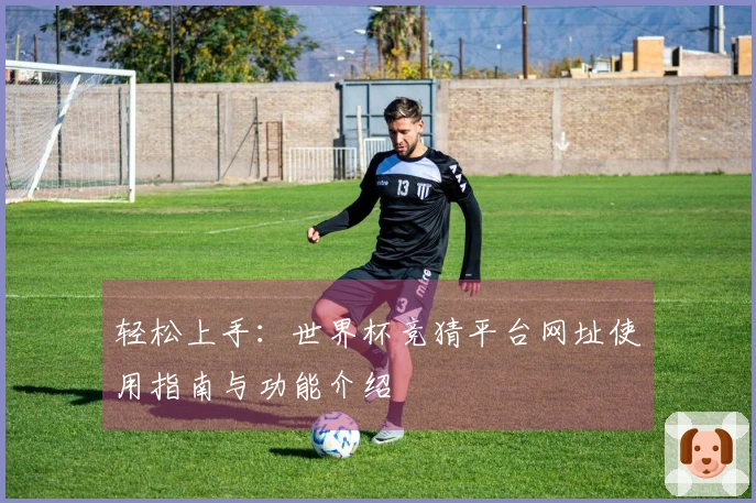 轻松上手：世界杯竞猜平台网址使用指南与功能介绍