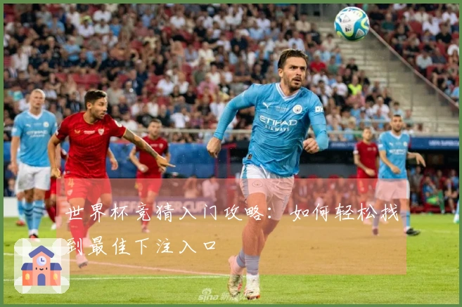 世界杯竞猜入门攻略：如何轻松找到最佳下注入口
