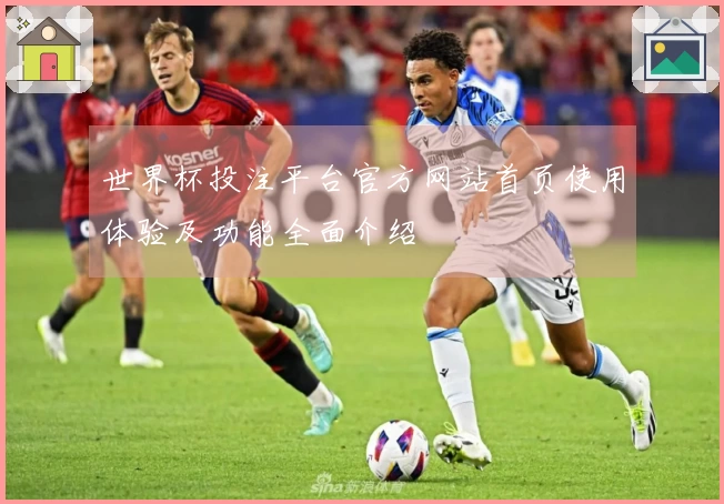 世界杯投注平台官方网站首页使用体验及功能全面介绍