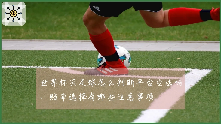 世界杯买足球怎么判断平台合法吗，赔率选择有哪些注意事项