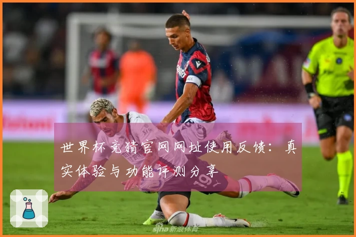 世界杯竞猜官网网址使用反馈：真实体验与功能评测分享