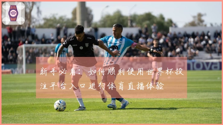 新手必看：如何顺利使用世界杯投注平台入口进行体育直播体验