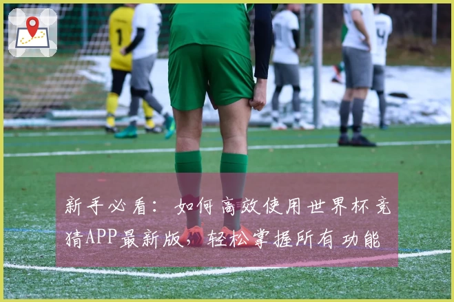 新手必看：如何高效使用世界杯竞猜APP最新版，轻松掌握所有功能