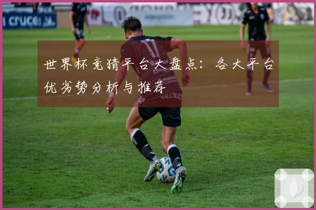 世界杯竞猜平台大盘点：各大平台优劣势分析与推荐